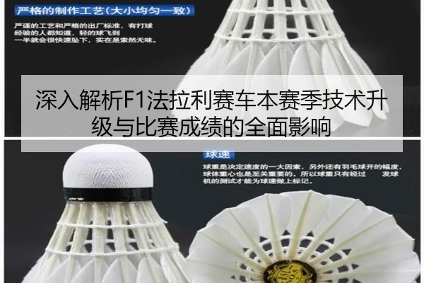 深入解析F1法拉利赛车本赛季技术升级与比赛成绩的全面影响 | LEYU SPORTS